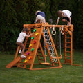 Large Eight Feature Jungle Gym for Home or Garden